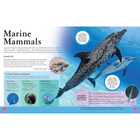 The Ocean Book image 1