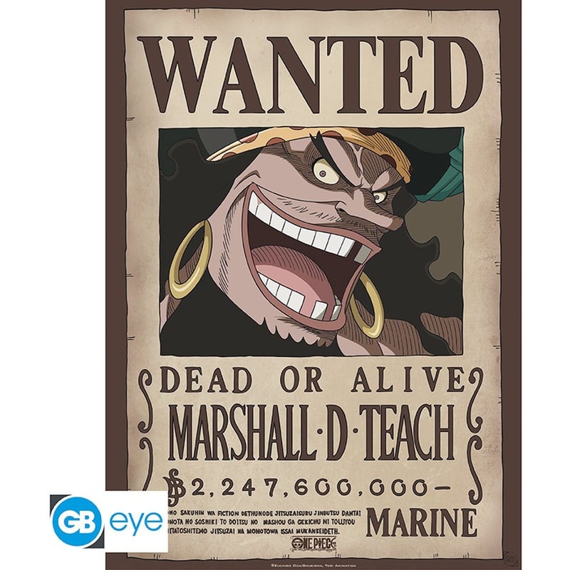 Αφίσα Abysse One Piece - Wanted Blackbeard Poster Chibi (52x38cm) (GBYDCO267)