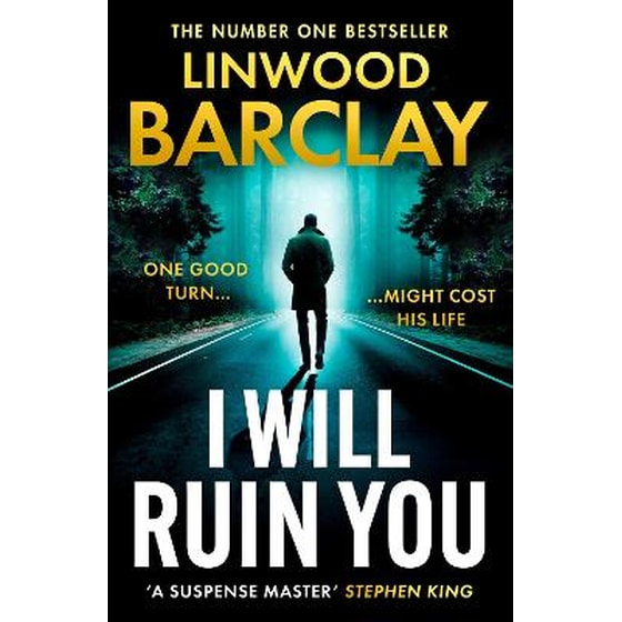 I Will Ruin You image 0