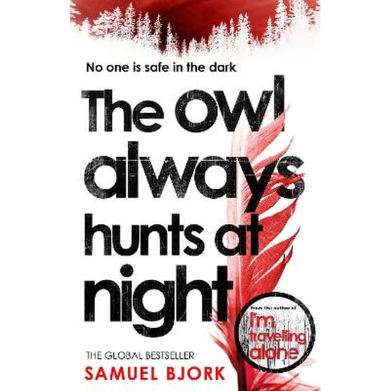Owl Always Hunts at Night image 0