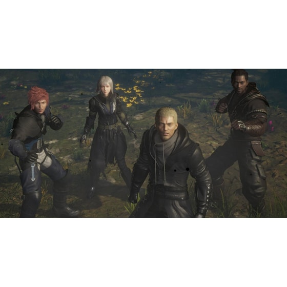 Stranger of Paradise: Final Fantasy Origin - PS4 image 5