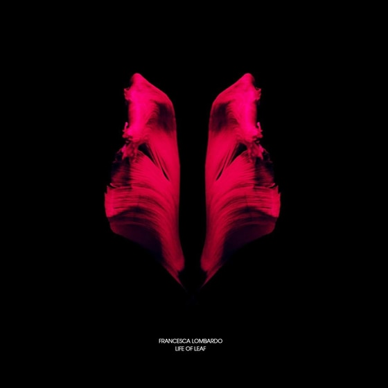 Life Of Leaf image 0