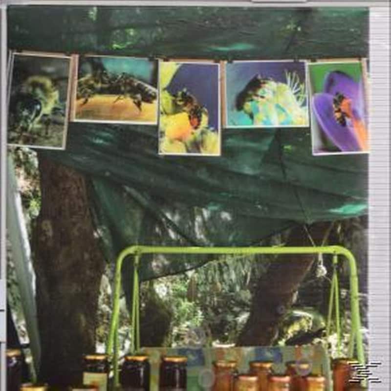 By Typing i Talk, You Dont Talk