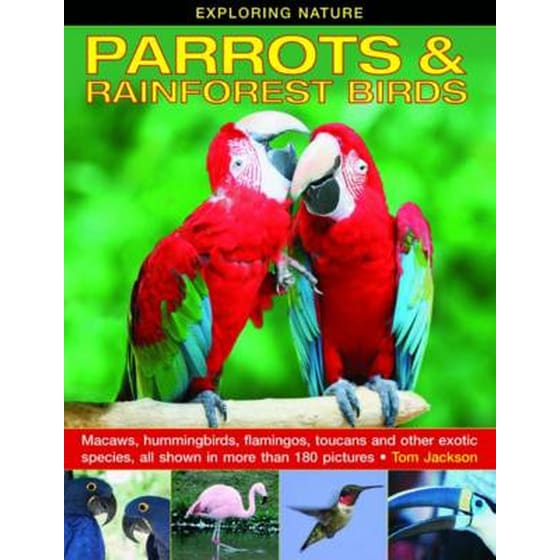 Exploring Nature: Parrots & Rainforest Birds image 0