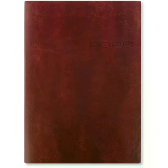 Ημερολόγιο Ημερήσιο Letts 2026 Eng. Α5 Lecassa Καφέ image 0