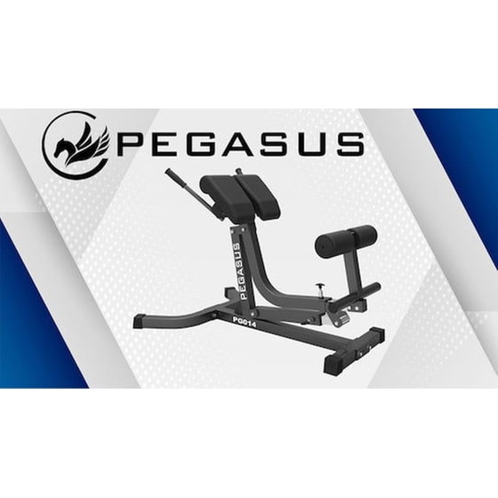 Πάγκος Γυμναστικής PEGASUS PG‑014 Ρυθμιζόμενος Μαύρος image 1