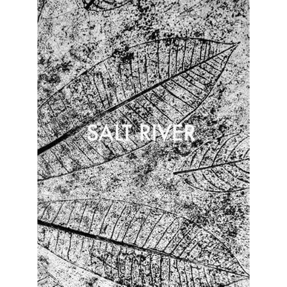 Sebastian Posingis: Salt River image 0