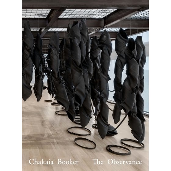 Chakaia Booker image 0