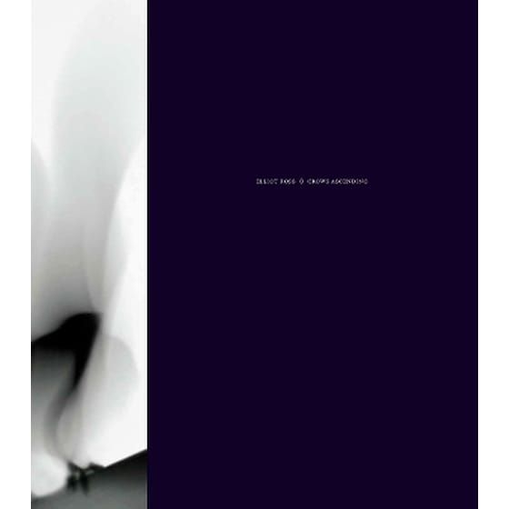Elliot Ross: Crows Ascending image 0