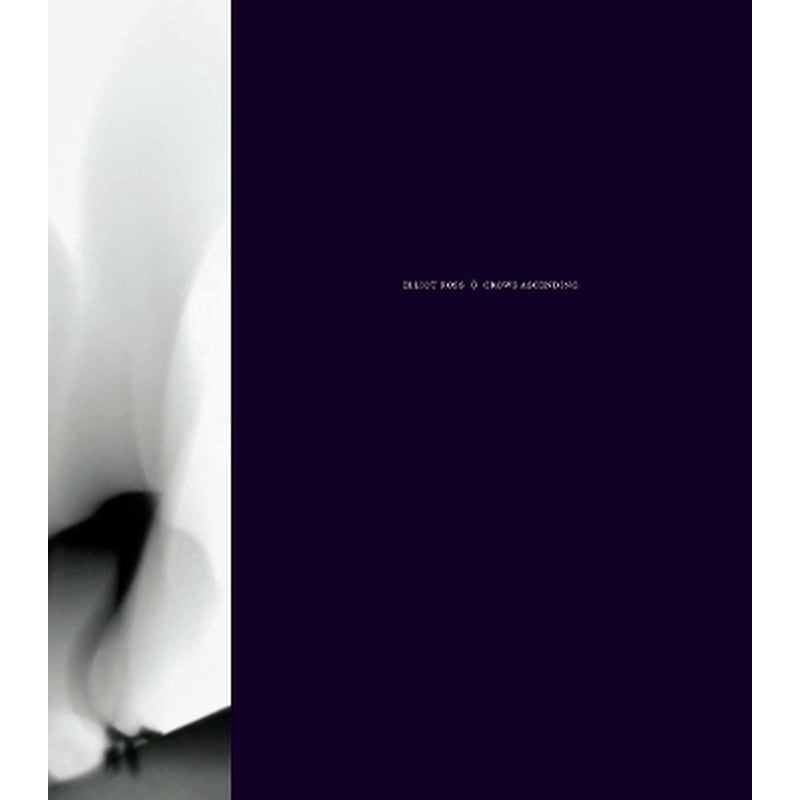 Elliot Ross: Crows Ascending