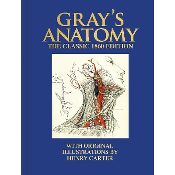 Gray's Anatomy image 0