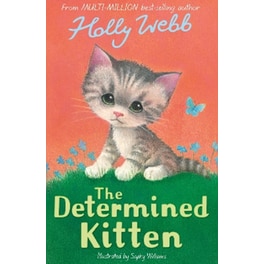The Determined Kitten