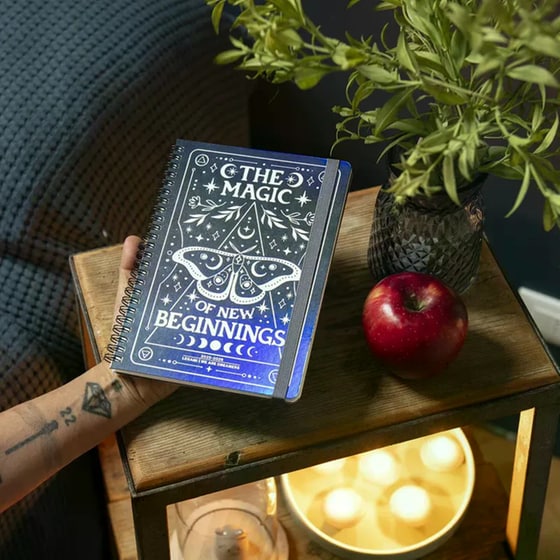 Ημερολόγιο Εβδομαδιαίο Legami 2026 12Μ Large Spiral Sushi Cat image 5