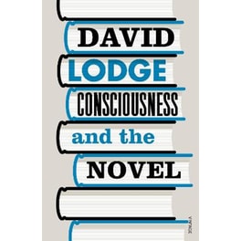Consciousness And The Novel