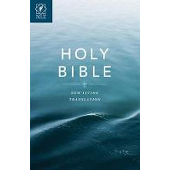 Gift and Award Bible image 0