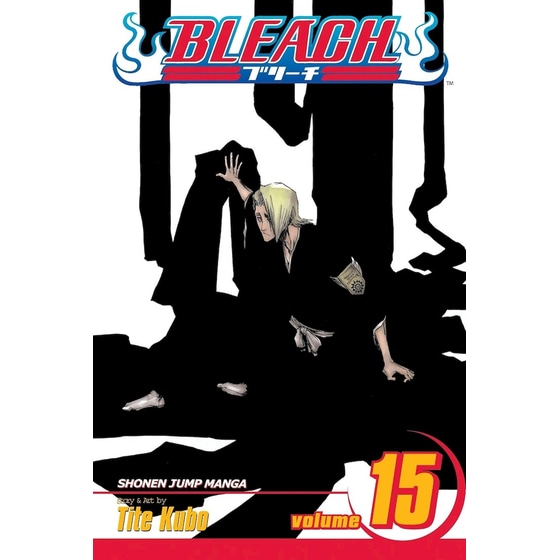 Bleach, Vol. 15 image 0