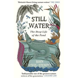 Still Water
