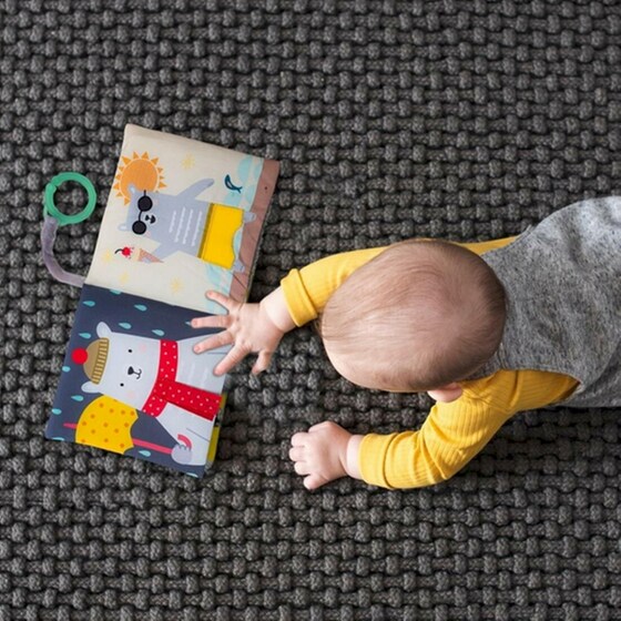 Taf Toys Βρεφικό Κρεμαστό Βιβλίο "What Does Paul Wear"( T-12605) image 3