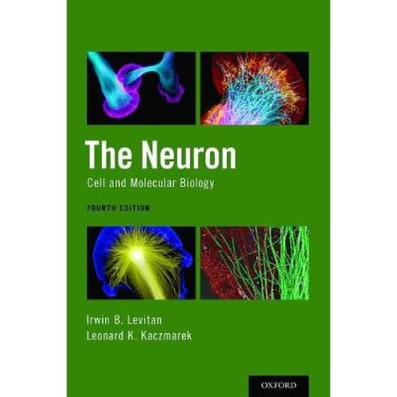 Neuron image 0
