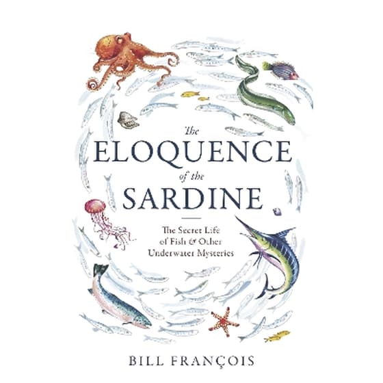 The Eloquence of the Sardine image 0