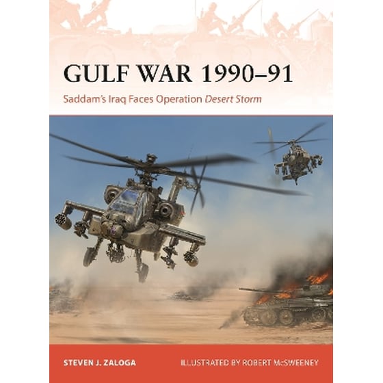Gulf War 1990–91 image 0
