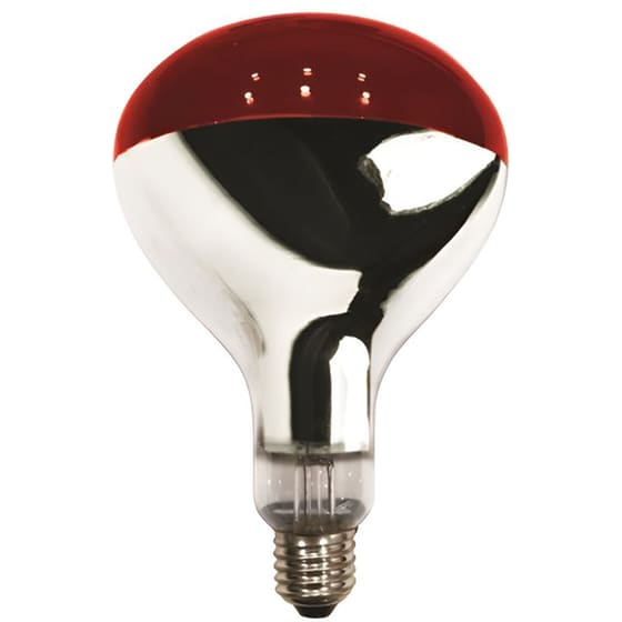 Λάμπα Χοιροστασίου Eurolamp 250w E27 - Κόκκινο image 0