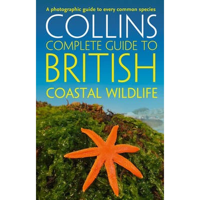 British Coastal Wildlife