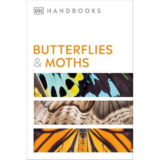 Butterflies and Moths image 0