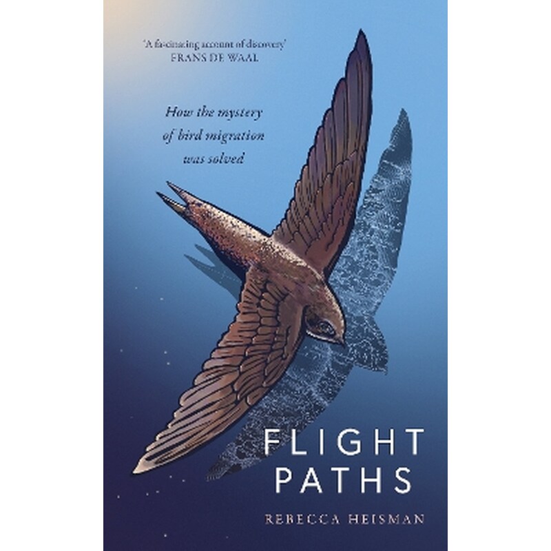 Flight Paths