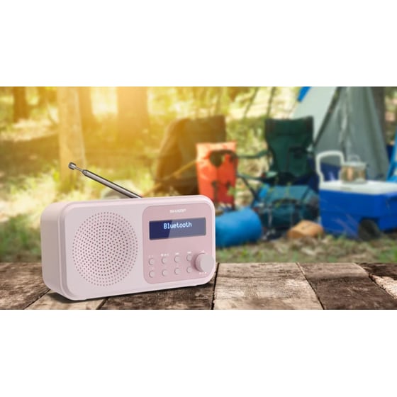 Φορητό ραδιόφωνο Sharp Tokyo DR-P420-Pink image 10