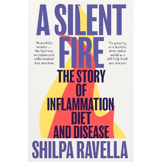 A Silent Fire image 0