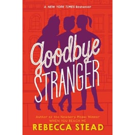 Goodbye Stranger