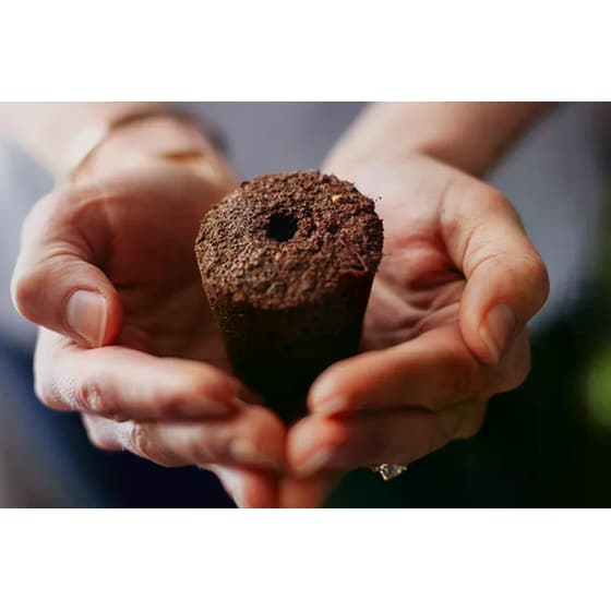 Ζαρντινιέρα Click and Grow Smart Garden 3 1.2 lt - Λευκή image 7