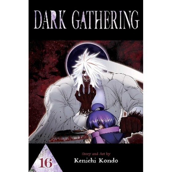 Dark Gathering, Vol. 16 image 0
