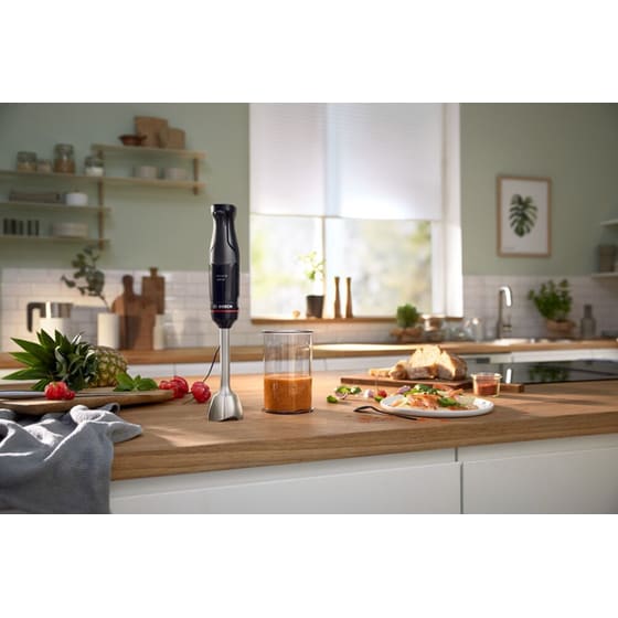 Σετ Ραβδομπλέντερ BOSCH ERGOMASTER SERIES 4 MSM4B621 1000 W Μαύρο image 6
