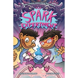 The Spark Experiment