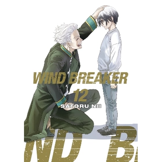 Wind Breaker, Vol. 12 image 0