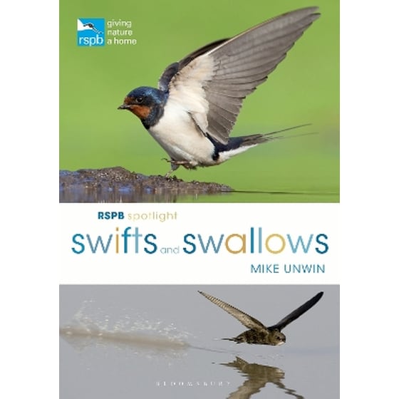 RSPB Spotlight Swifts and Swallows image 0