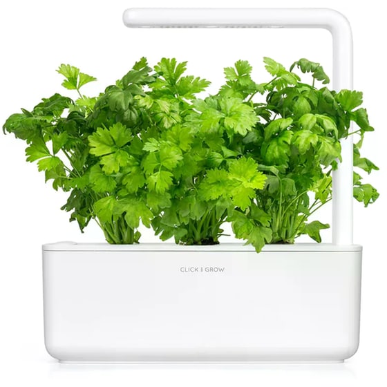 Κάψουλες Click and Grow 3 Τμχ - Σέλινο image 1