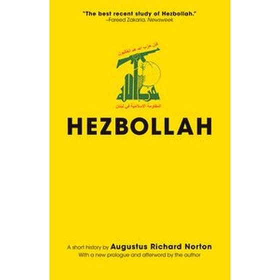 Hezbollah image 0