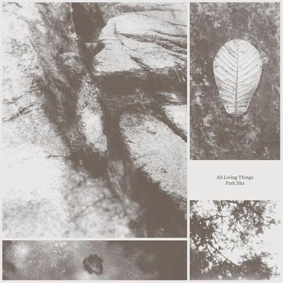 All Living Things image 0