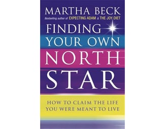 Finding Your Own North Star image 0