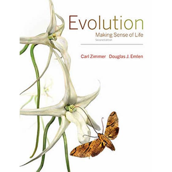 Evolution image 0