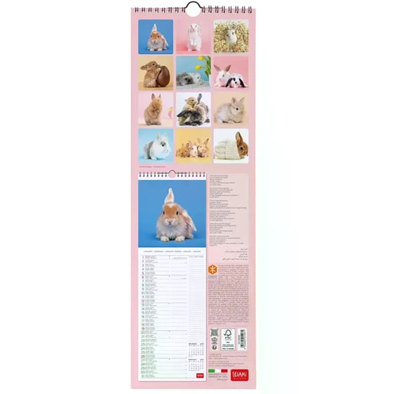 Ημερολόγιο Τοίχου Legami 2025 Honey Bunny 16x49 cm image 2