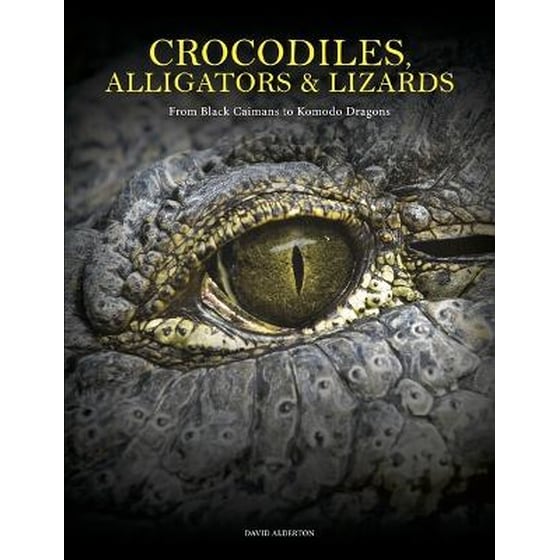 Crocodiles, Alligators & Lizards image 0
