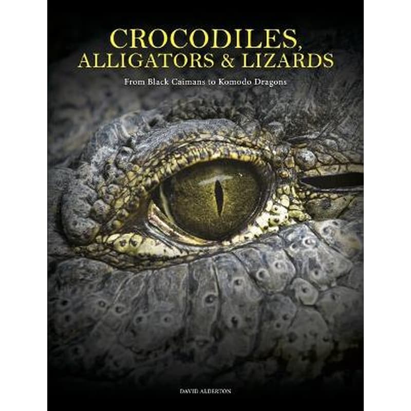 Crocodiles, Alligators Lizards