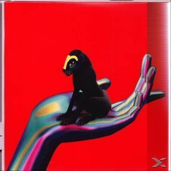 Wonder Where We Land image 0