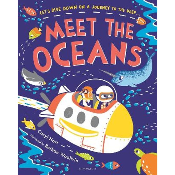 Meet the Oceans image 0
