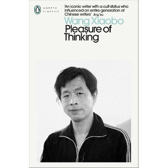 Pleasure of Thinking image 0