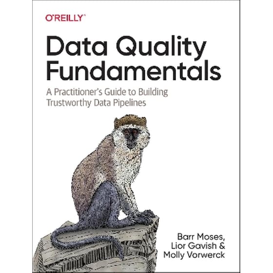 Data Quality Fundamentals image 0